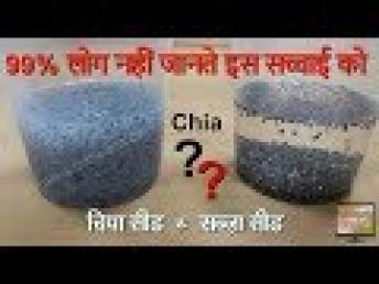 Chia Seed Benefits | चिया और सब्ज़ा का अंतर