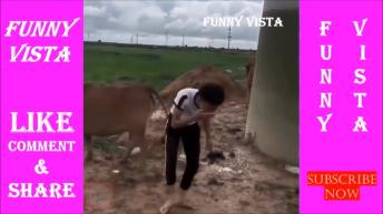 Open Challenge  Try Not to Laugh or Grin  Stupid  Funny People  Clean Funny Videos  Humour Vids