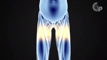 क्या आप जानते है क्या काम करते है बॉडी के ये ऑर्गन्स | Healthy Remedy