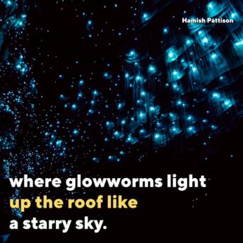 New Zealand's Glowworm Caves Transport You To A Magical World