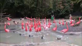 Wonderful animals at a zoo!!