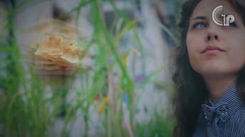 एक रोटी चमका देती हे किसीकी भी किस्मत | चमत्कारिक उपाय | Lal Kitab | Unknown Facts