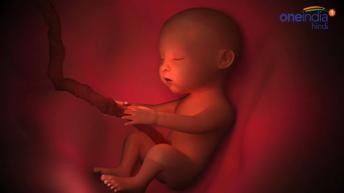 मां के पेट में हुई जुड़वा बहनों की लड़ाई, वायरल हुआ वीडियो