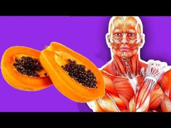 ಪಪ್ಪಾಯಿ ಬೀಜದಲ್ಲಿದೆ ಆರೋಗ್ಯದ ಗುಟ್ಟು..! ಆಶ್ಚರ್ಯಕರ ರಹಸ್ಯಗಳು | Health benefits of Papaya Seeds