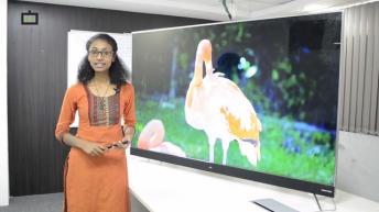 iFFALCON 75inch Certified Android TV: Features Explained (Malayalam)