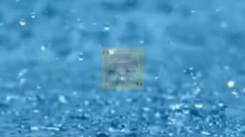 बरसात के मौसम में भूलकर भी इन चीज़ों का सेवन न करें कई बीमारियों को दावत दोगे आप