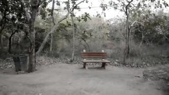 दिल्ली की सबसे भूतिया जगहें Sanjay Van Delhi haunted Story Ep. 1 | Mysterious Videos | News7 hindi