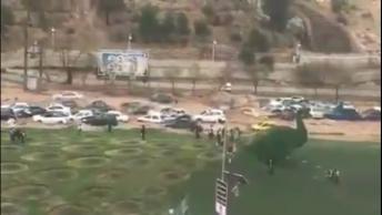 Wild Weather Compilation