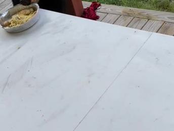 Gentle black bear makes a mess of his lunch