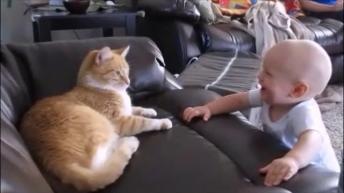 Cute babies playing with cats and laughing
