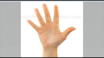 सफल अभिनेता बनने की रेखा।  ..... क्या आपके हाथ में है ये रेखा  successful actor