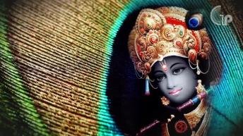 मोरपंख के चमत्कारी टोटके | Peacock Remedies | Lal Kitab Ke Totke