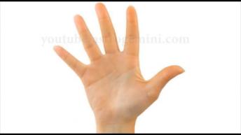 हाथ में बनने वाले कुछ विशेष राज योग।जो दिलाएगी मान सम्मान प्रतिष्ठा और समिद्धि ......ज़रूर देखिये