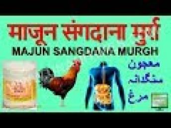 Majun Sangdana Murgh | माजून संगदाना मुर्ग़ | Unanitimes