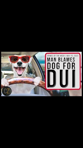 Crimes Of The Week: May 15, 2023  | New Mexico Shooting, Man Blames Dog For DUI & MORE Crime News