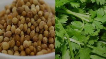 10 minute में पेशाब यूरिन संबंधित किसी भी इंफेक्शन का झट से इलाज || Urine Infection