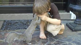 That’s nuts! The squirrel who still pays daily visits to the family who saved her life 8 years later