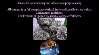 420 Budds - OGG Old Ganja Growers