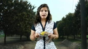 आम के ये फायदे अगर आप ने नहीं उठाये तो एक बार फिर से सोचें | Mango Benefits