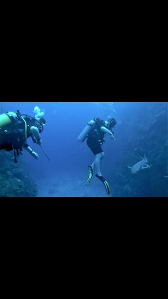 Scuba diver is amused when shark scares his brother
