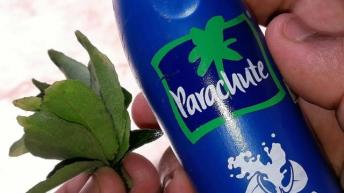 दूध से सफेद बालों को कोयले से ज्यादा काला करने का तरीका  Black Hair Naturally